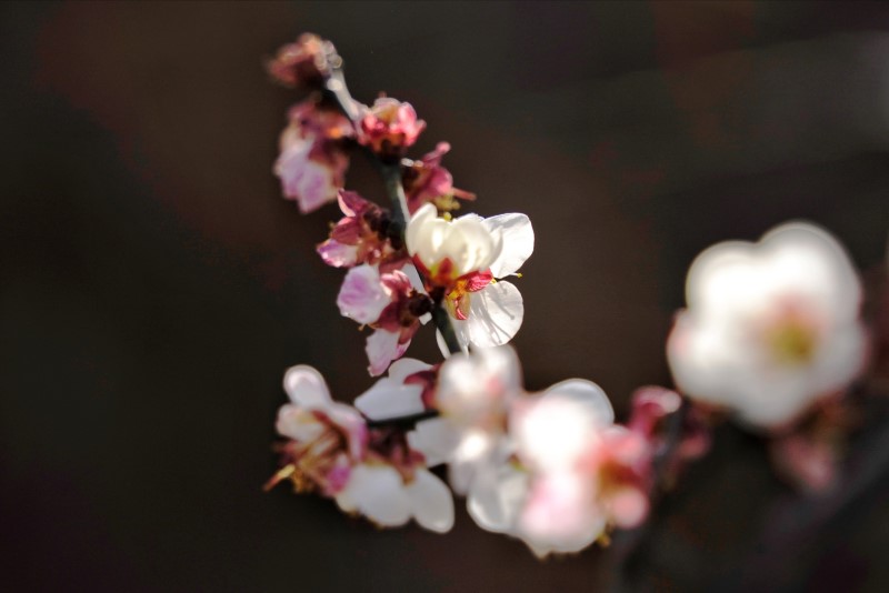 101678429631248993.jpg 34.jpg