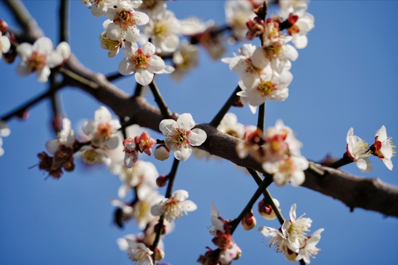 101678429640549586.jpg 45.jpg