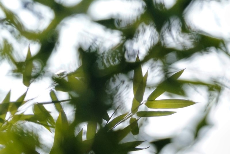 101678429844578227.jpg 56.jpg