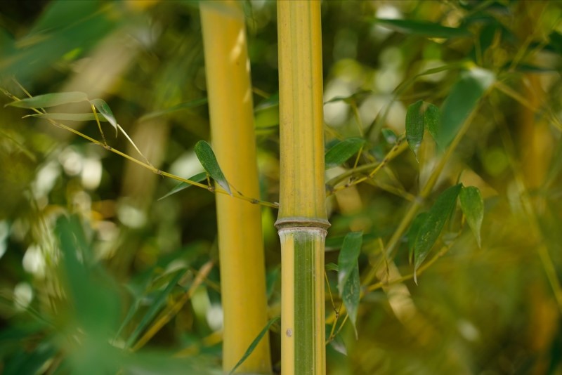 101678429853196734.jpg 67.jpg