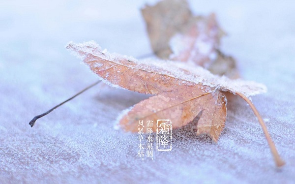 231761191357919613.jpg image1.jpeg