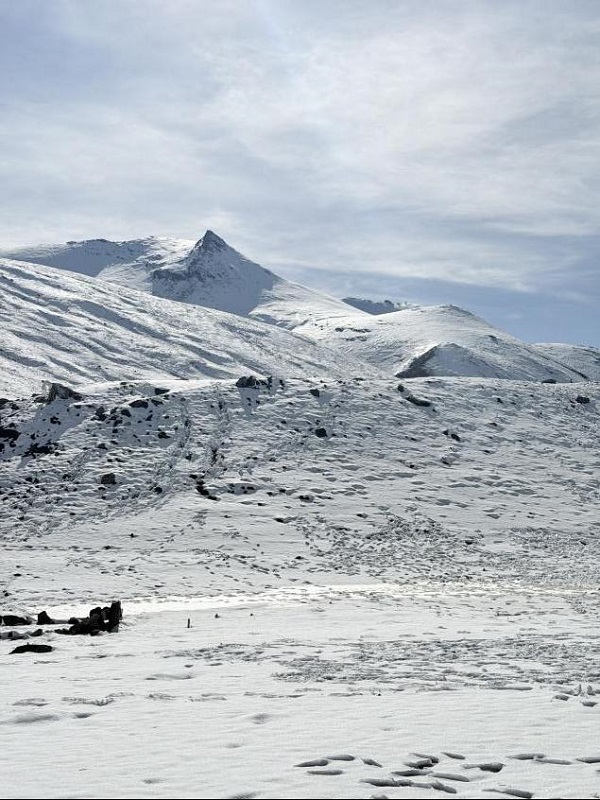 241761303591115203.jpg image1.jpeg